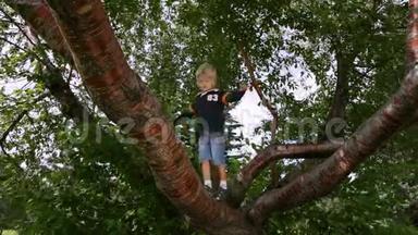 小男孩正在爬树